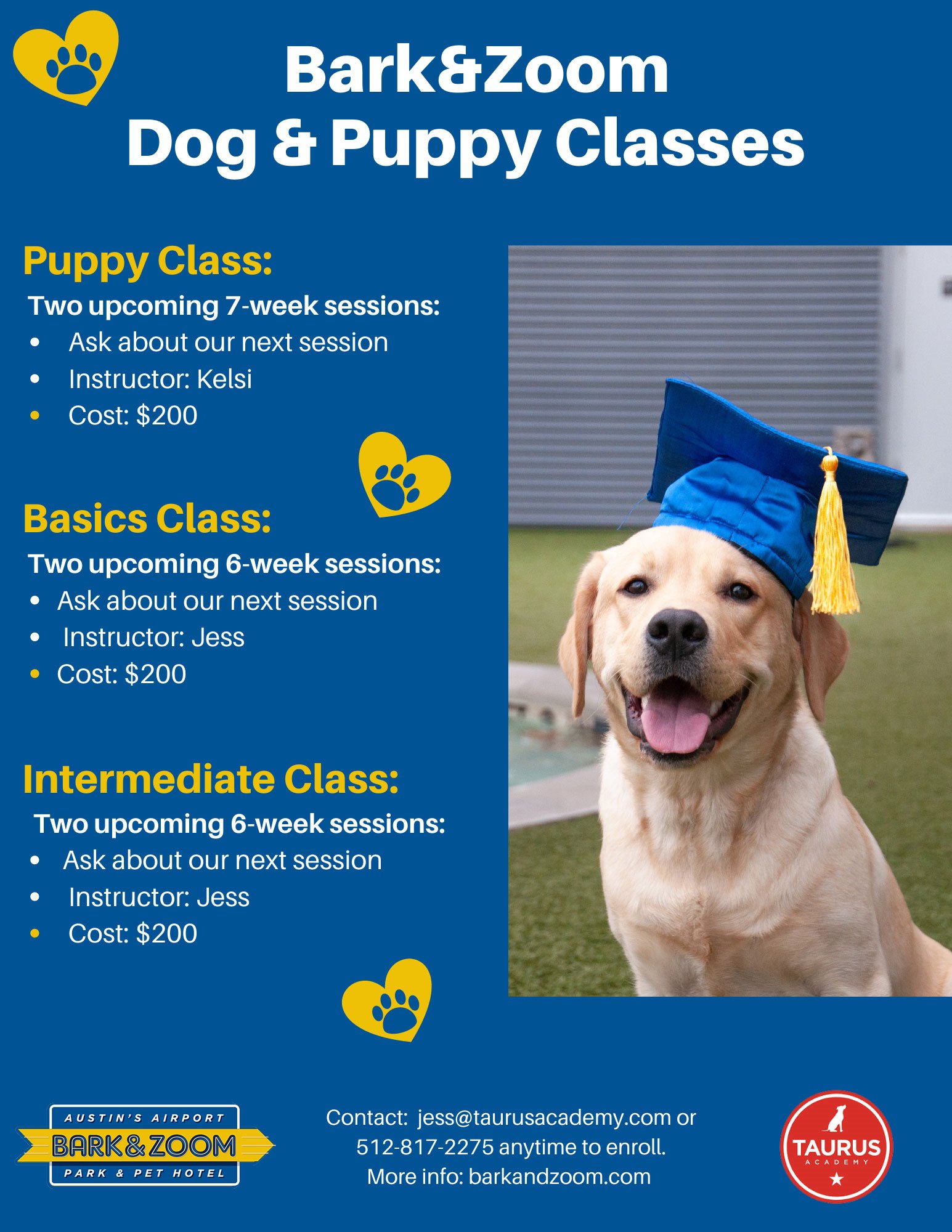 bark-zoom-dog-puppy-classes
