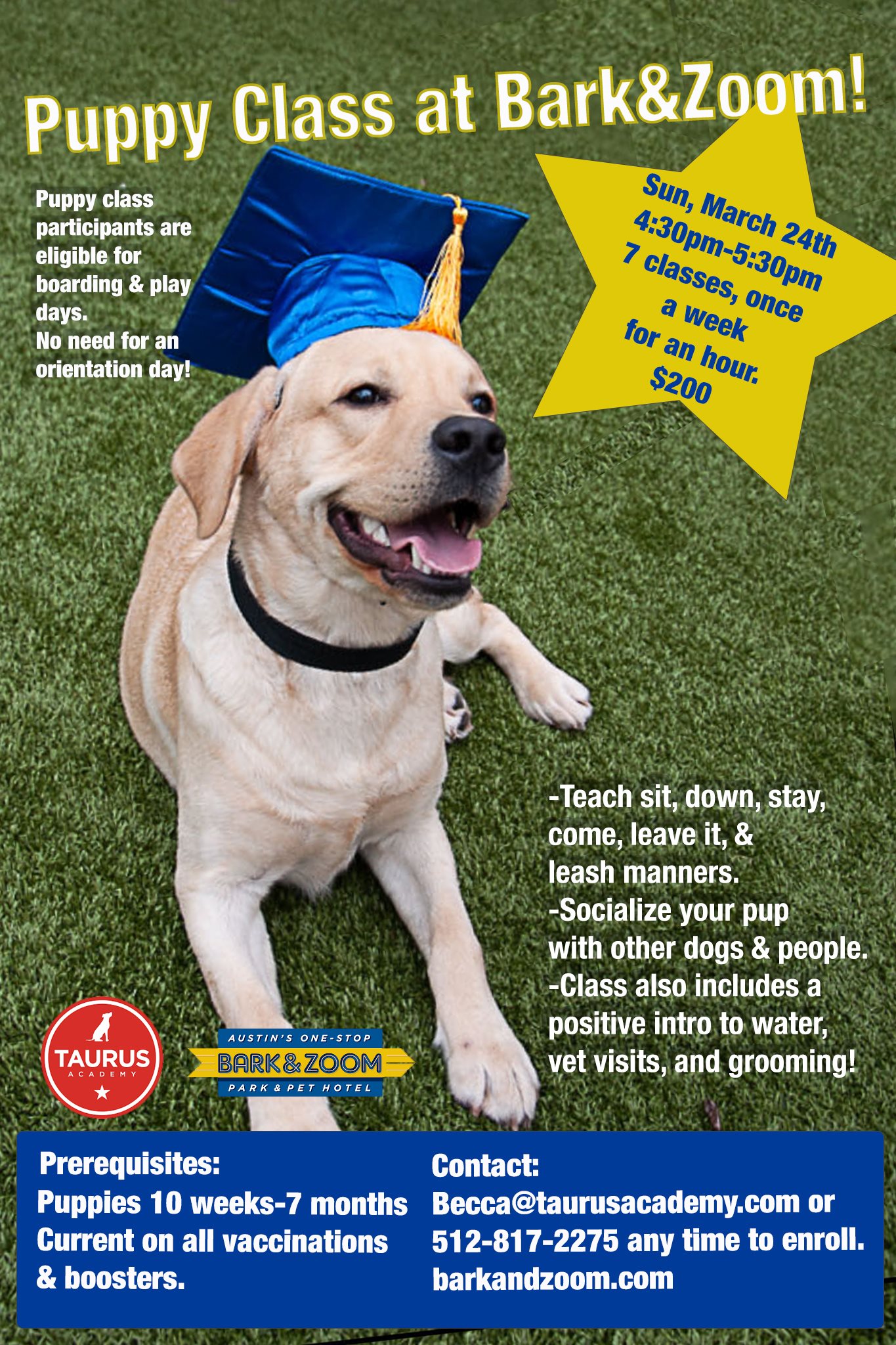 Puppy Class Poster